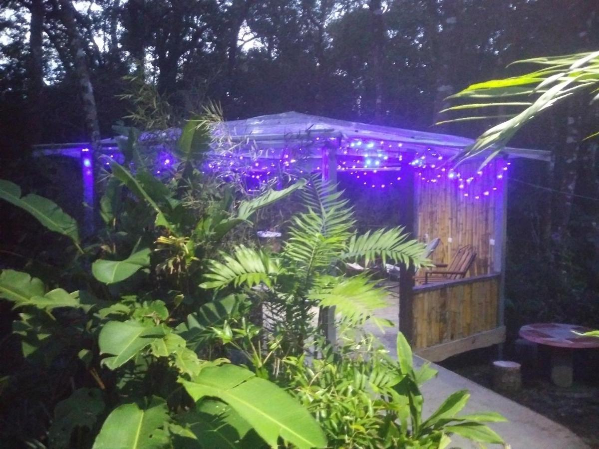 Cabanas La Montana Mountain Lodge Monteverde Ngoại thất bức ảnh