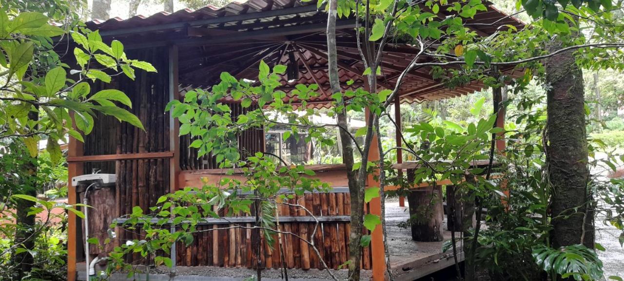 Cabanas La Montana Mountain Lodge Monteverde Ngoại thất bức ảnh