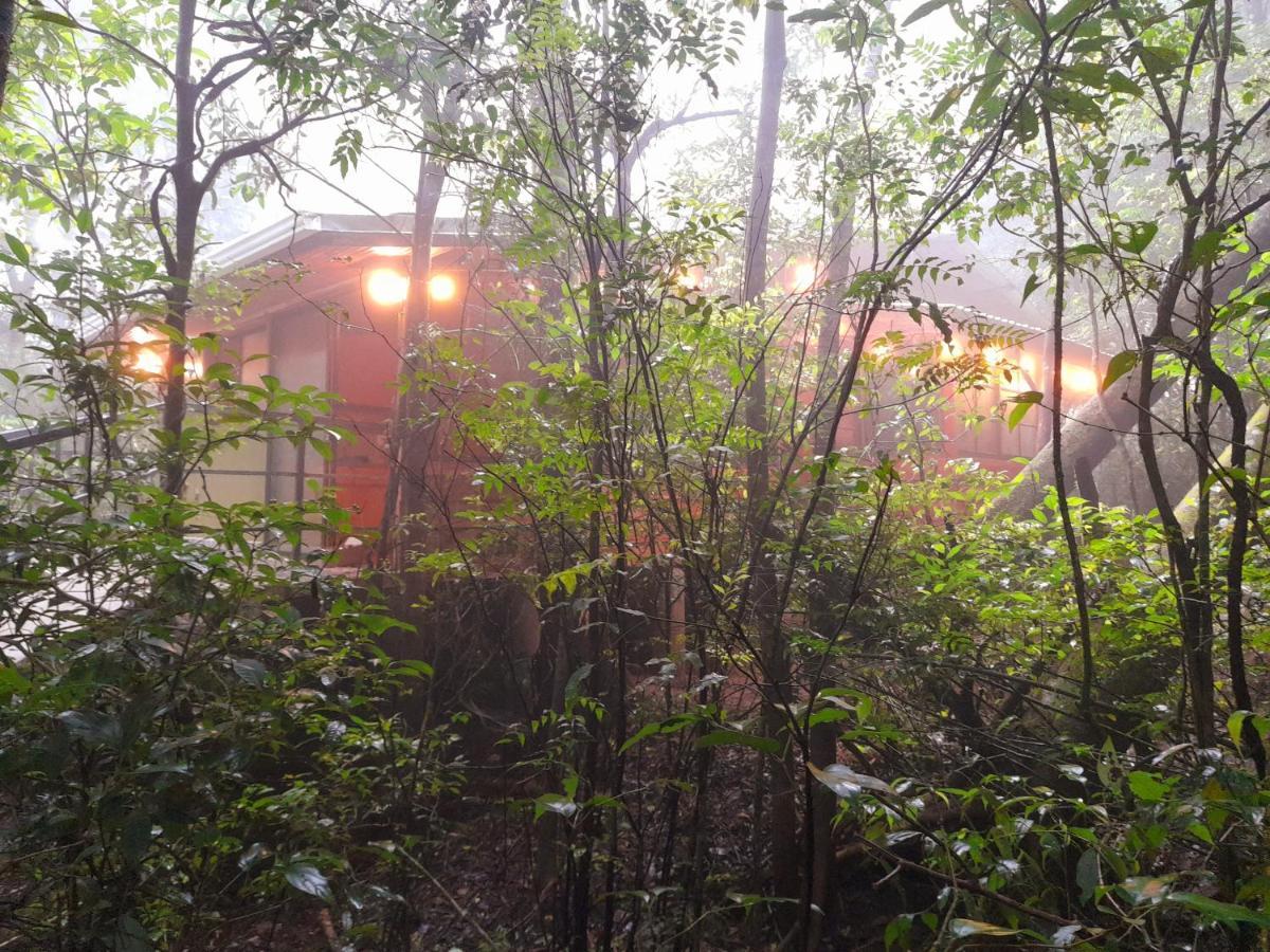 Cabanas La Montana Mountain Lodge Monteverde Ngoại thất bức ảnh
