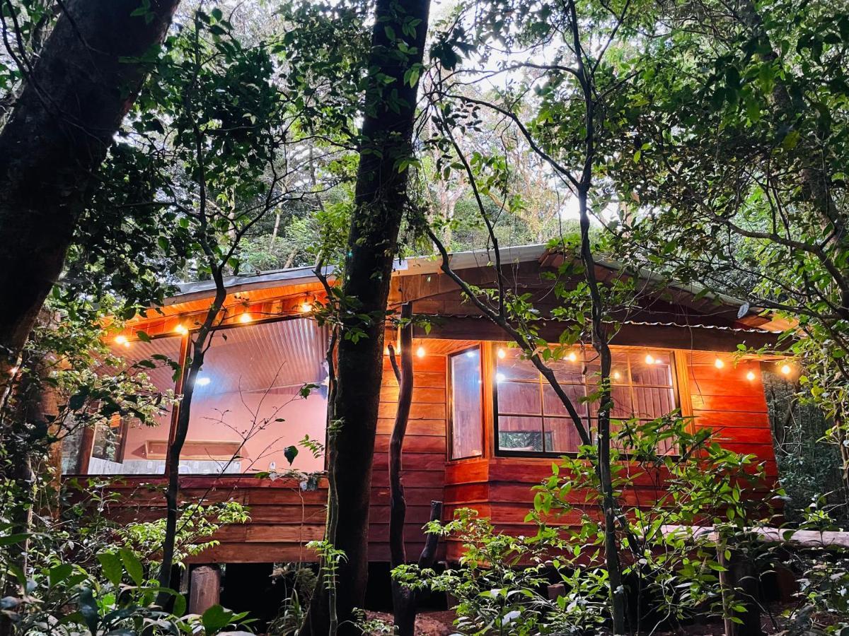 Cabanas La Montana Mountain Lodge Monteverde Ngoại thất bức ảnh